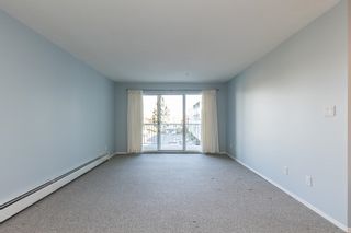 Photo 14: 221 31850 UNION Avenue in Abbotsford: Abbotsford West Condo for sale in "Fernwood Manor" : MLS®# R2827924