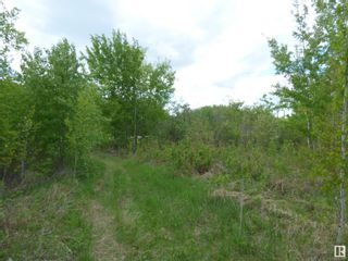 Photo 5: 145 20212 TWP RD 510: Rural Strathcona County Rural Land/Vacant Lot for sale : MLS®# E4297290