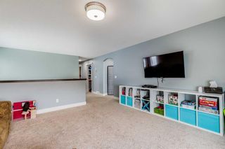 Photo 21: 170 Canals Close SW: Airdrie Detached for sale : MLS®# A2066684