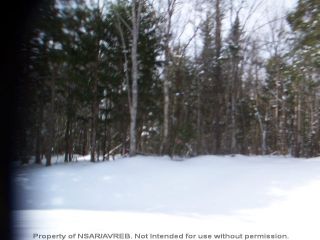 Photo 4: Lot 2 ELSHIRL Road in Plymouth: 108-Rural Pictou County Vacant Land for sale (Northern Region)  : MLS®# 202112048