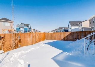 Photo 42: 1048 Copperfield Boulevard SE in Calgary: Copperfield Detached for sale : MLS®# A2033001