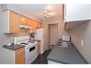 Photo 3: 309 4363 HALIFAX Street in Burnaby: Brentwood Park Condo for sale (Burnaby North)  : MLS®# V1004797