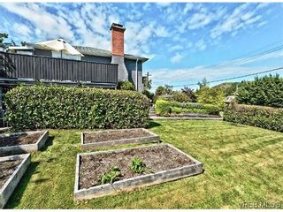 Photo 20: 3338 Wordsworth St in VICTORIA: SE Cedar Hill House for sale (Saanich East)  : MLS®# 640502