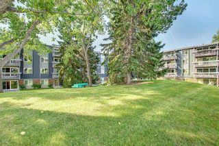 Photo 38: 327 820 89 Avenue SW in Calgary: Haysboro Apartment for sale : MLS®# A1170010