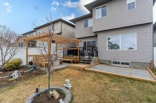 Photo 42: 159 Panamount Circle NW in Calgary: Panorama Hills Detached for sale : MLS®# A2126960