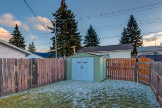 Photo 19: 439 Malvern Close NE in Calgary: Marlborough Park Detached for sale : MLS®# A2095026