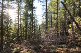 Photo 14: Lot 22 Vickers Trail: Anglemont Vacant Land for sale (North Shuswap)  : MLS®# 10243424