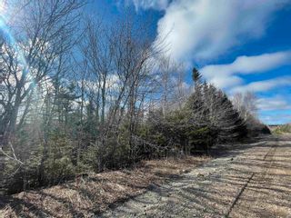 Photo 1: Lot Laggan Road in Laggan: 108-Rural Pictou County Vacant Land for sale (Northern Region)  : MLS®# 202307007