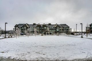 Photo 21: 1306 175 Silverado Boulevard SW in Calgary: Silverado Apartment for sale : MLS®# A1062133