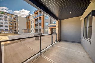 Photo 29: 119 8355 19 Avenue SW in Calgary: Springbank Hill Apartment for sale : MLS®# A2124441