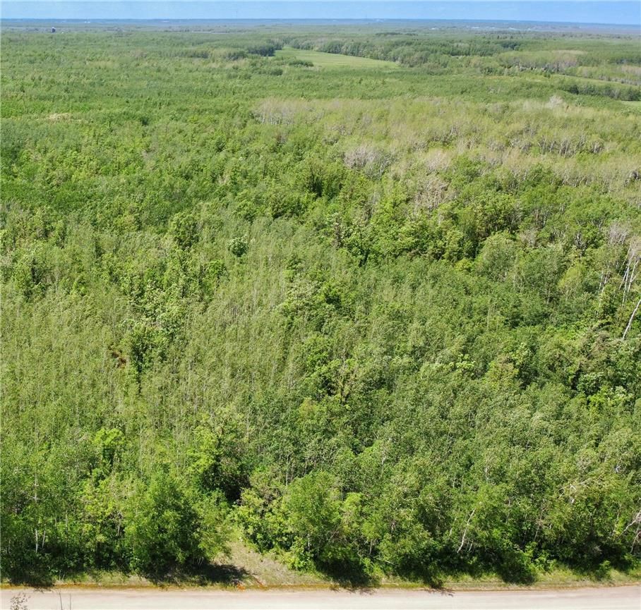 Main Photo: 40E Road in Ste Anne Rm: Vacant Land for sale : MLS®# 202210995