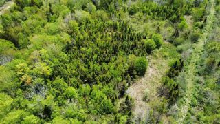 Photo 8: Lot No 217 Highway in Digby Neck: Digby County Vacant Land for sale (Annapolis Valley)  : MLS®# 202309994