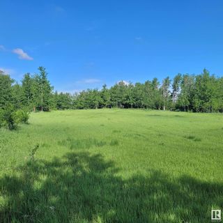 Photo 10: 53027 RGE RD 215: Rural Strathcona County Rural Land/Vacant Lot for sale : MLS®# E4293791
