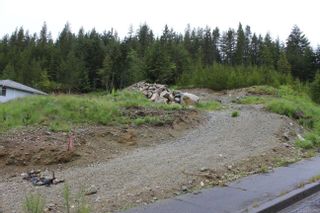 Photo 13: 600 Scout Lake Rd in Gold River: NI Gold River Land for sale (North Island)  : MLS®# 905366