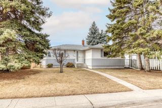 Photo 1: 51 Foley Road SE in Calgary: Fairview Detached for sale : MLS®# A1201083