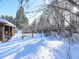 Photo 46: 1975 DOGWOOD DRIVE in COURTENAY: CV Courtenay City House for sale (Comox Valley)  : MLS®# 806549