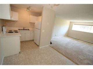 Photo 6: 101 BIG HILL Way SE: Airdrie Condo for sale : MLS®# C3641760