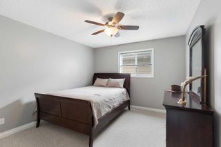 Photo 19: 17 Thornfield Close SE: Airdrie Detached for sale : MLS®# A2123863
