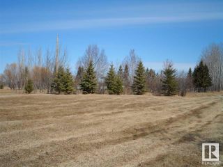 Photo 7: 12 Ivan Road 587104 Hwy 38: Rural Sturgeon County Rural Land/Vacant Lot for sale : MLS®# E4239338