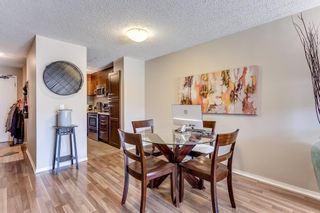 Photo 5: 209 630 57 Avenue SW in Calgary: Windsor Park Apartment for sale : MLS®# A1213649