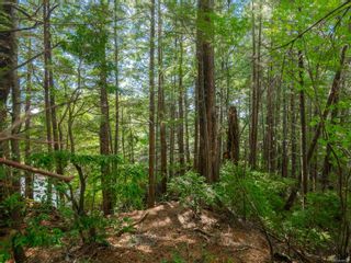 Photo 3: LOT 1 Peninsula Rd in Ucluelet: PA Ucluelet Land for sale (Port Alberni)  : MLS®# 916501