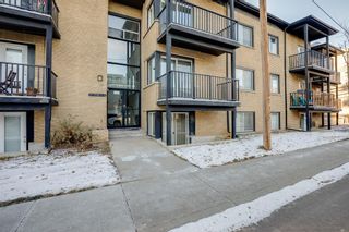 Photo 3: 5 2417 2 Street SW in Calgary: Mission Apartment for sale : MLS®# A2013880