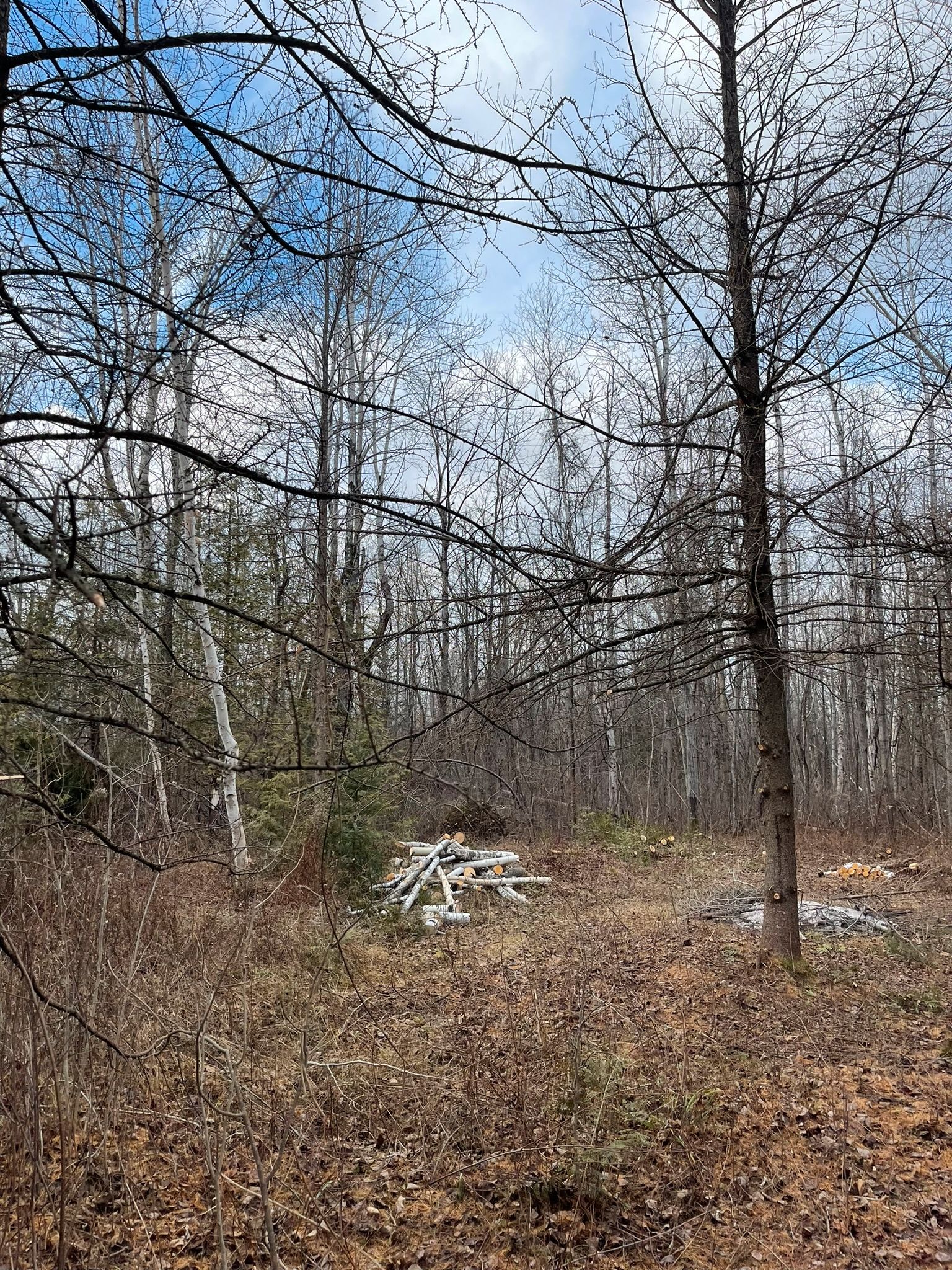 Main Photo: 2819 Cowell  Road: North Gower Vacant Land for sale (Ottawa)  : MLS®# 1369947