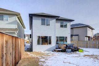 Photo 48: 214 Covemeadow Bay NE in Calgary: Coventry Hills Detached for sale : MLS®# A1192845