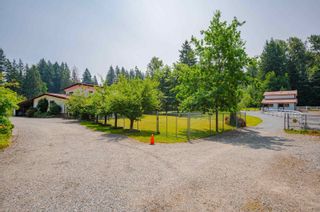 Photo 4: 26562 60 Avenue in Langley: County Line Glen Valley House for sale : MLS®# R2801593