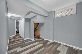 Photo 26: 251 Martindale Boulevard NE in Calgary: Martindale Detached for sale : MLS®# A2063220
