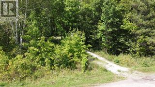Photo 8: 88 Moggy Parkway in Assiginack: Vacant Land for sale : MLS®# 2114179