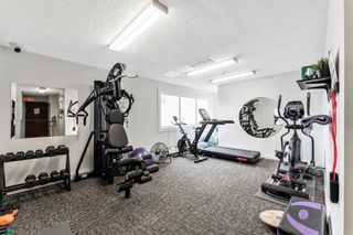 Photo 25: 325 550 Westwood Drive SW in Calgary: Westgate Apartment for sale : MLS®# A2133382