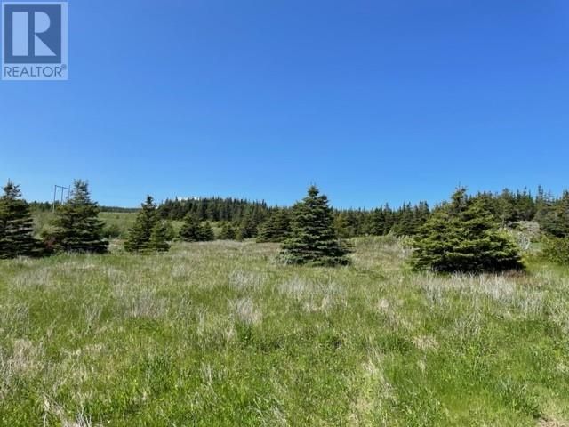 Main Photo: 21 Oceanview Drive in Felix Cove: Vacant Land for sale : MLS®# 1261464
