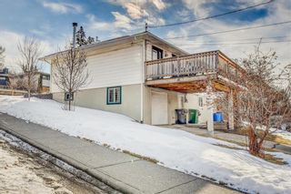 Photo 37: 81 Cumberland Drive NW in Calgary: Cambrian Heights Detached for sale : MLS®# A2033439