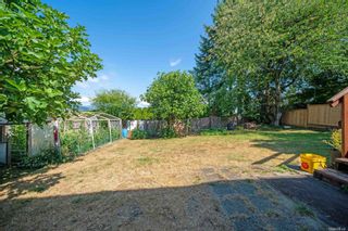 Photo 20: 3135 PLIMSOLL Street in Coquitlam: Ranch Park House for sale : MLS®# R2874040