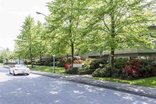 Photo 13: 104 3051 AIREY Drive in Richmond: West Cambie Condo for sale : MLS®# R2022391