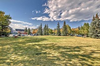 Photo 45: 114 35 richard Court SW in Calgary: Lincoln Park Apartment for sale : MLS®# A2081498