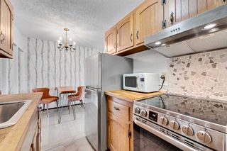 Photo 19: 305 635 57 Avenue SW in Calgary: Windsor Park Apartment for sale : MLS®# A2124917