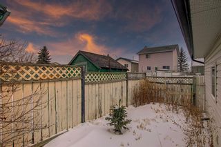 Photo 19: 142 Appleburn Close SE in Calgary: Applewood Park Detached for sale : MLS®# A1193945