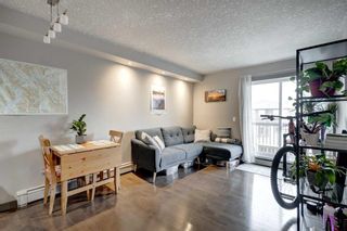 Photo 6: 203 2411 29 Street SW in Calgary: Killarney/Glengarry Apartment for sale : MLS®# A2128044