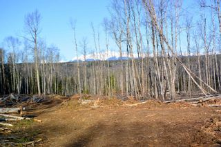 Photo 21: DL 811 16 Highway in New Hazelton: Hazelton Land for sale in "New Hazelton @ Carnaby" (Smithers And Area (Zone 54))  : MLS®# R2679366