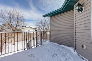 Photo 9: 1720 Big Springs Way SE: Airdrie Detached for sale : MLS®# A2030615
