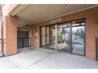 Photo 17: 407 20219 54A Avenue in Langley: Langley City Condo for sale in "THE SUEDE" : MLS®# R2805072