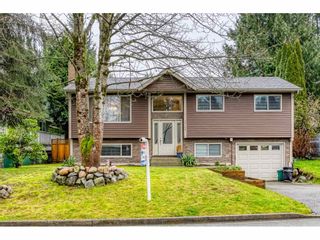 Photo 3: 12164 GEE Street in Maple Ridge: East Central House for sale : MLS®# R2528540