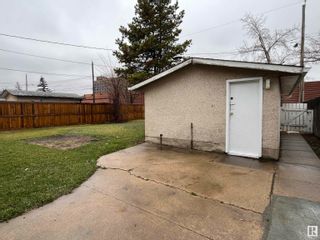Photo 21: 10916 165 Street in Edmonton: Zone 21 House for sale : MLS®# E4384850