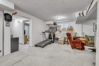 Photo 43: 6 inverness Park in Calgary: McKenzie Towne Detached for sale : MLS®# A2024450