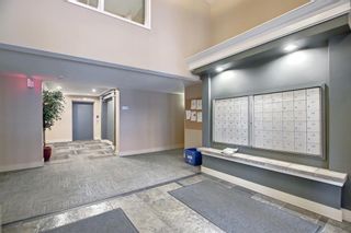 Photo 17: 208 25 Richard Place SW in Calgary: Lincoln Park Apartment for sale : MLS®# A1227821