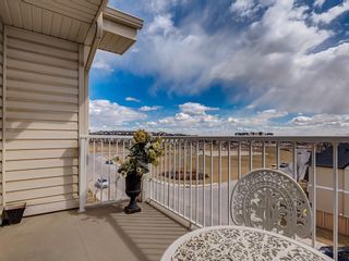 Photo 19: 1408 155 Skyview Ranch Way NE in Calgary: Skyview Ranch Apartment for sale : MLS®# A1235375