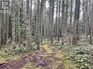 Photo 5: Lot B Alec Rd in Central Saanich: Vacant Land for sale : MLS®# 955846