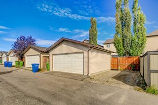 Photo 35: 214 Morningside Gardens SW: Airdrie Detached for sale : MLS®# A2088537